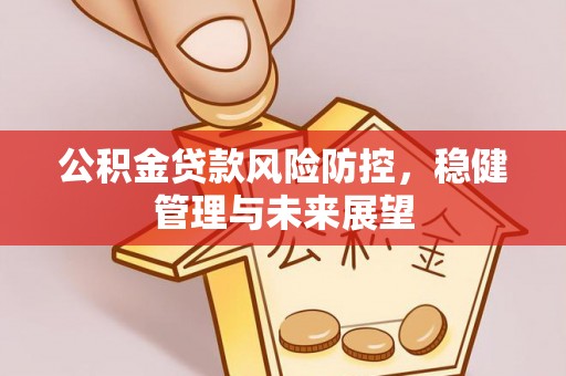 康县公积金贷款风险防控，稳健管理与未来展望