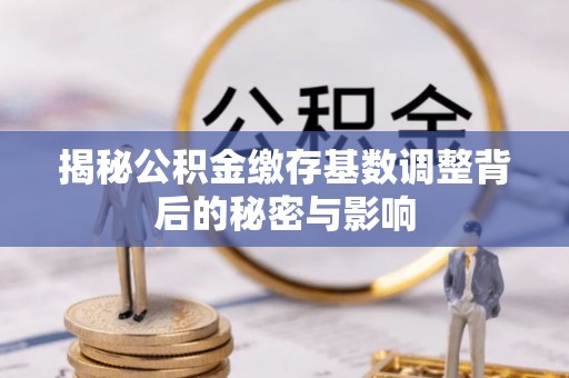 康县揭秘公积金缴存基数调整背后的秘密与影响