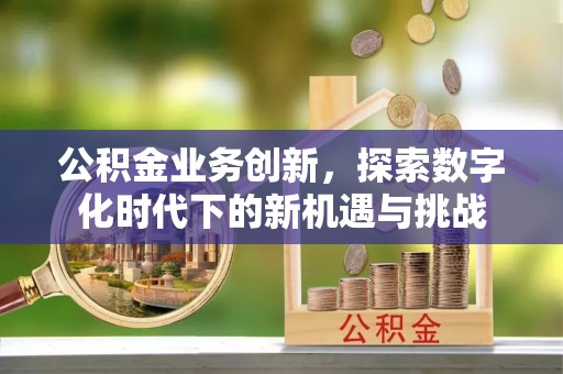 康县公积金业务创新，探索数字化时代下的新机遇与挑战