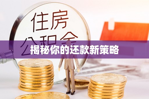 康县揭秘你的还款新策略