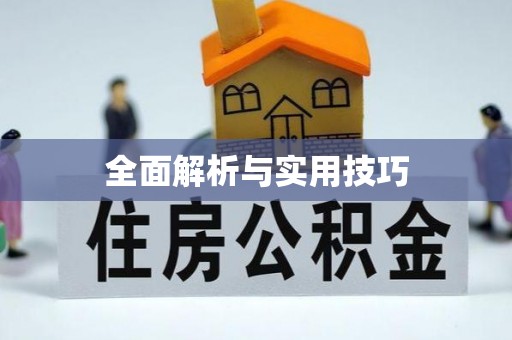 康县全面解析与实用技巧