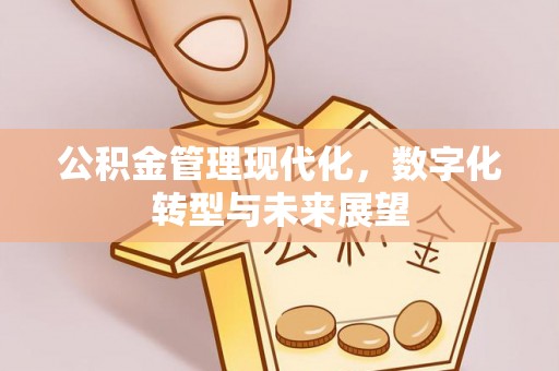 康县公积金管理现代化，数字化转型与未来展望