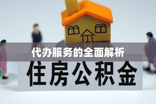 康县代办服务的全面解析