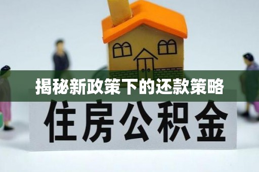 康县揭秘新政策下的还款策略