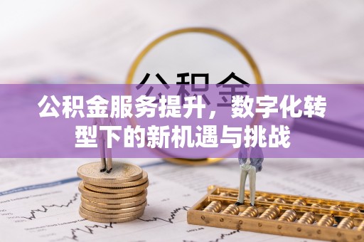 康县公积金服务提升，数字化转型下的新机遇与挑战