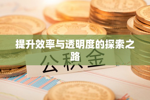 康县提升效率与透明度的探索之路