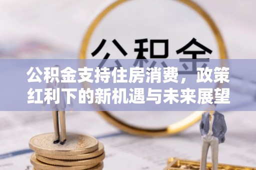 康县公积金支持住房消费，政策红利下的新机遇与未来展望