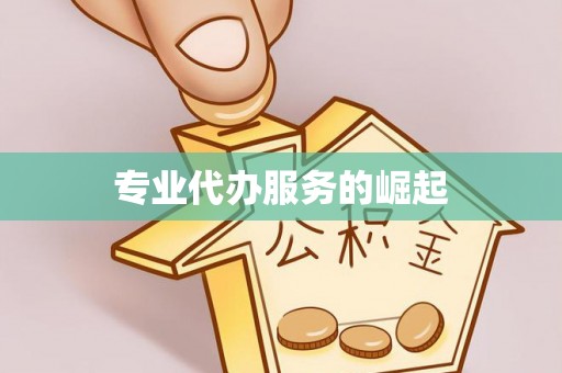 康县专业代办服务的崛起