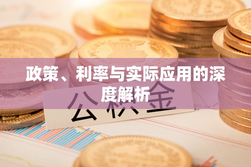 康县政策、利率与实际应用的深度解析