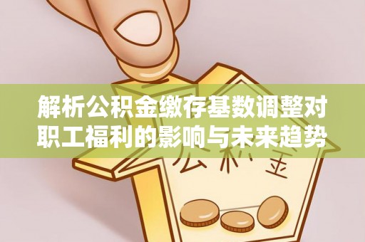 康县解析公积金缴存基数调整对职工福利的影响与未来趋势