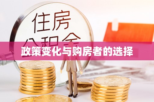 康县政策变化与购房者的选择