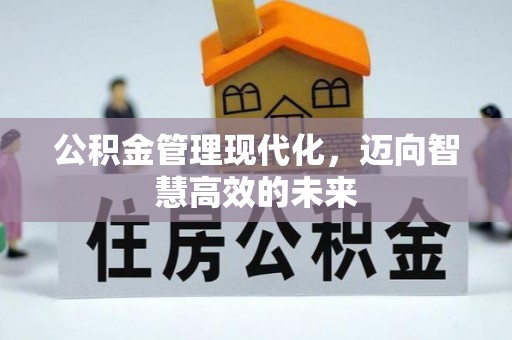 康县公积金管理现代化，迈向智慧高效的未来