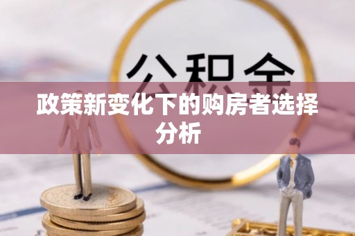 康县政策新变化下的购房者选择分析