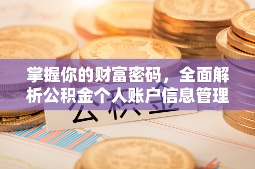 康县掌握你的财富密码，全面解析公积金个人账户信息管理