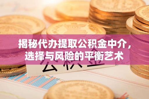 康县揭秘代办提取公积金中介，选择与风险的平衡艺术