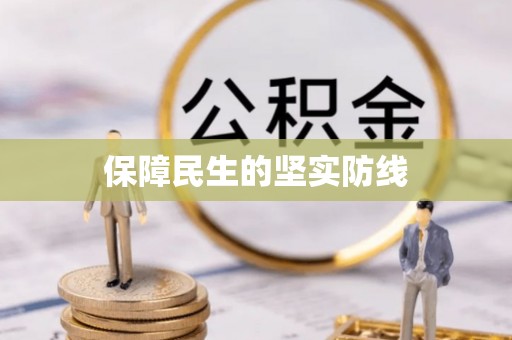 康县保障民生的坚实防线