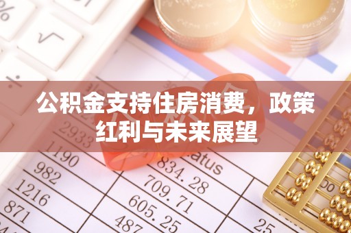 康县公积金支持住房消费，政策红利与未来展望