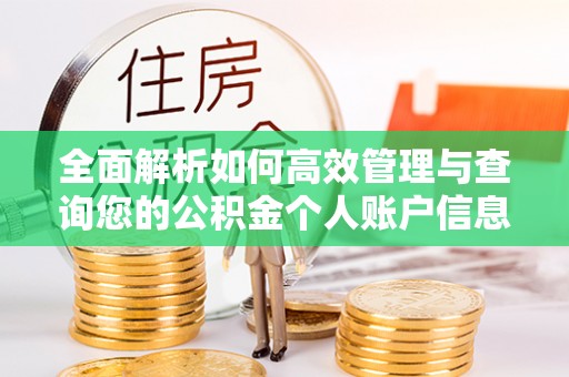 康县全面解析如何高效管理与查询您的公积金个人账户信息