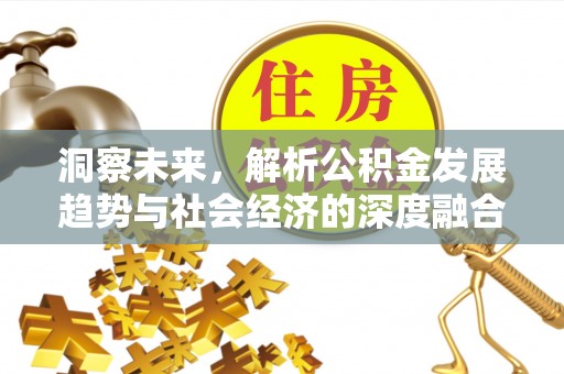康县洞察未来，解析公积金发展趋势与社会经济的深度融合
