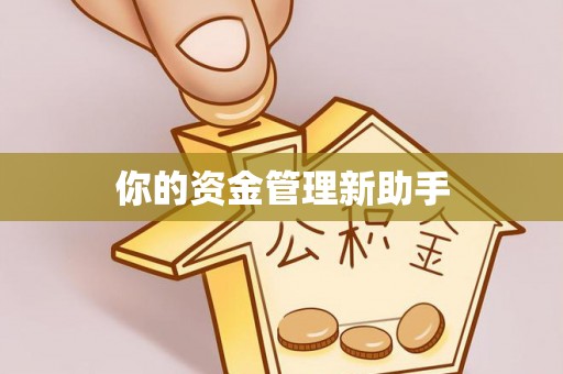 康县你的资金管理新助手