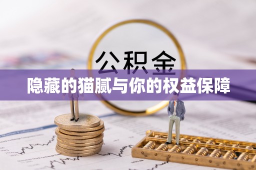康县隐藏的猫腻与你的权益保障