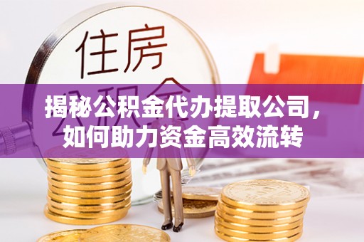 康县揭秘公积金代办提取公司，如何助力资金高效流转