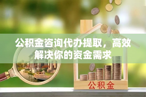 康县公积金咨询代办提取，高效解决你的资金需求