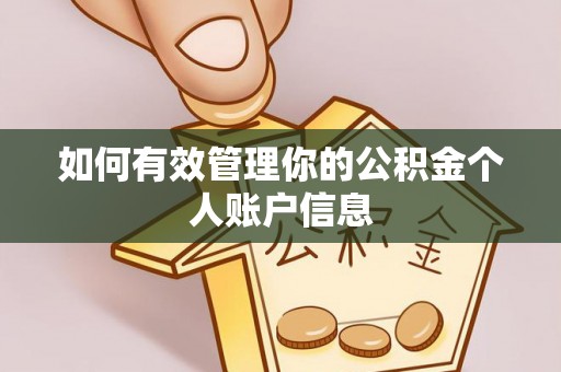 康县如何有效管理你的公积金个人账户信息