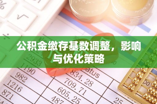 康县公积金缴存基数调整，影响与优化策略