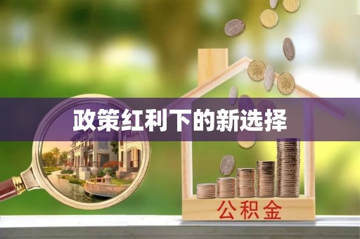 康县政策红利下的新选择