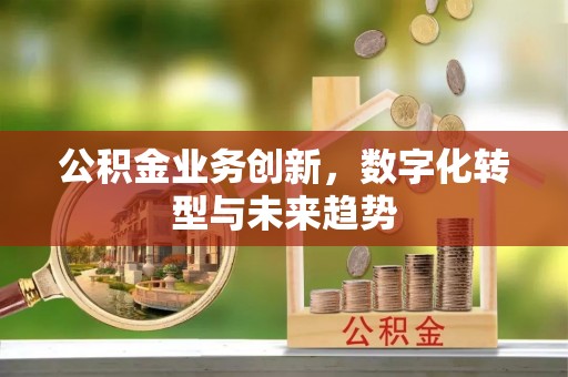 康县公积金业务创新，数字化转型与未来趋势