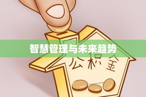 康县智慧管理与未来趋势