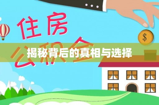 康县揭秘背后的真相与选择
