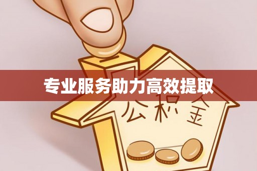 康县专业服务助力高效提取