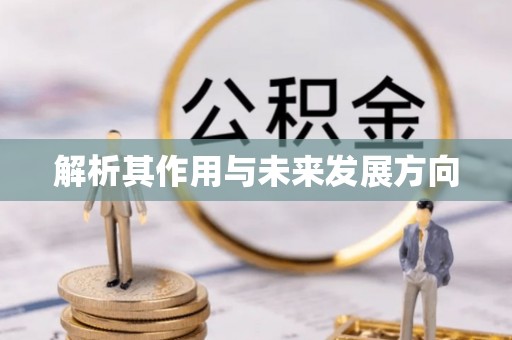 康县解析其作用与未来发展方向