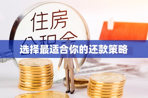 康县选择最适合你的还款策略