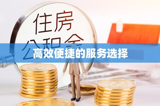 康县高效便捷的服务选择