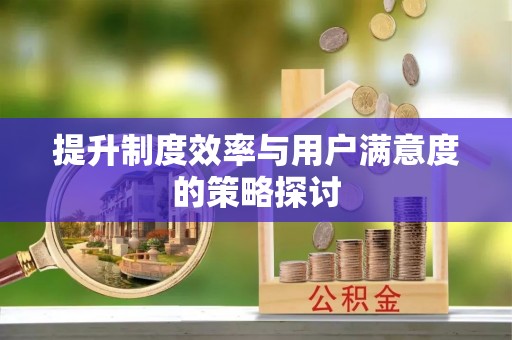 康县提升制度效率与用户满意度的策略探讨